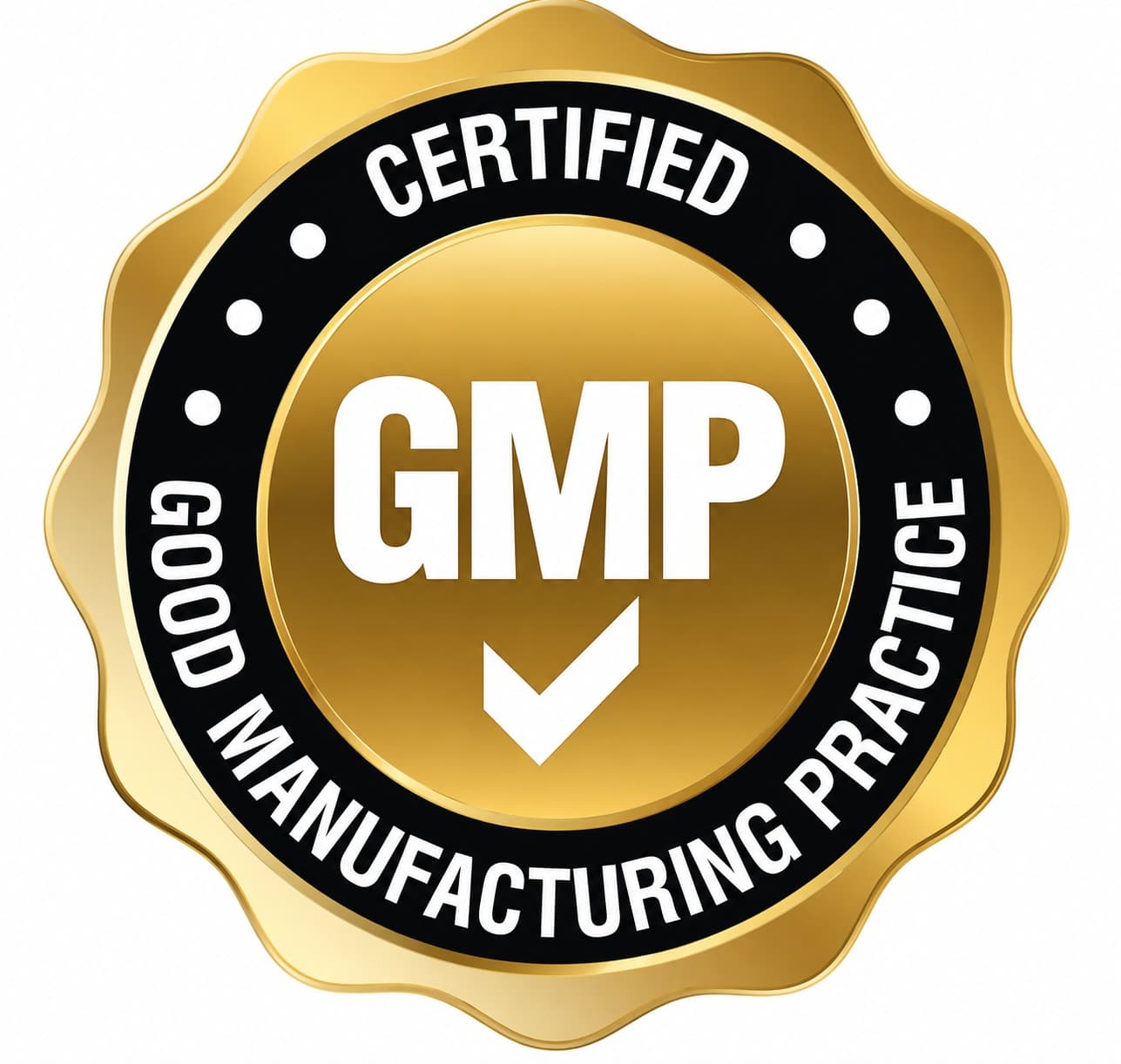 WHO-GMP Certified
